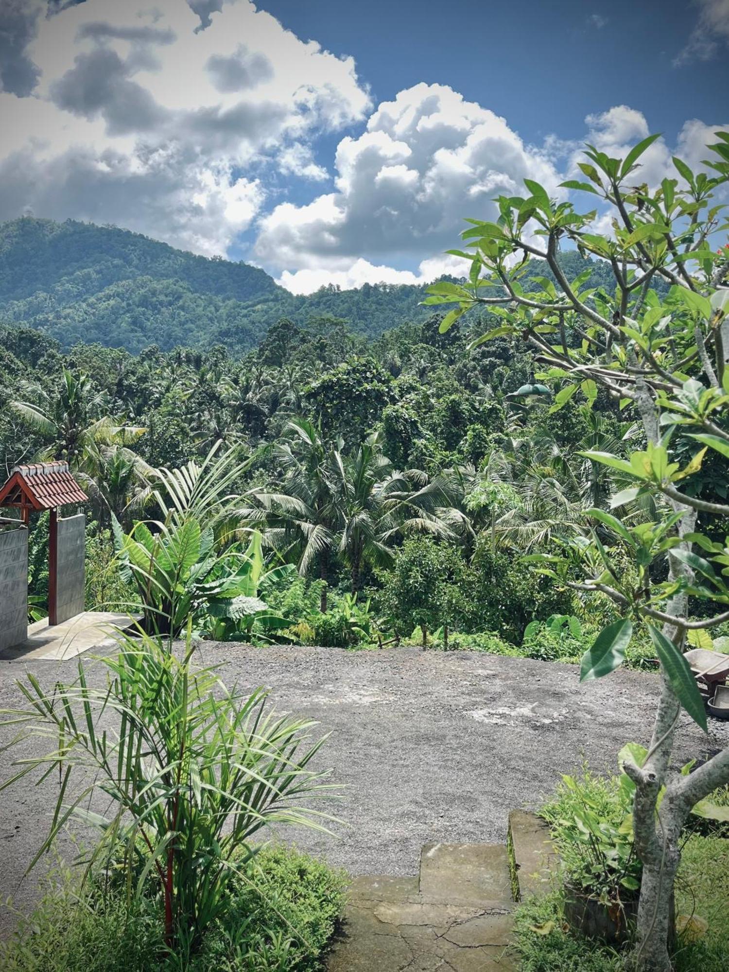 Papahan Bali Sidemen  Dış mekan fotoğraf