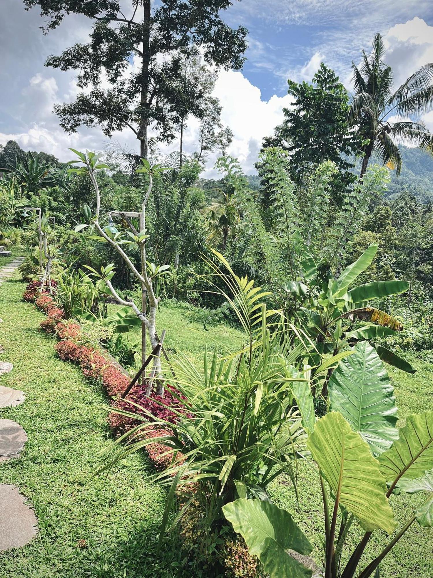 Papahan Bali Sidemen  Dış mekan fotoğraf